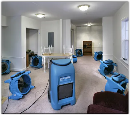 Water Mitigation Services in Acton, MA