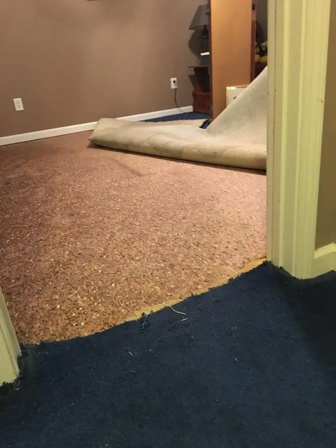 Carpet pad removal revealing water damage during Water Mitigation Services in Acton